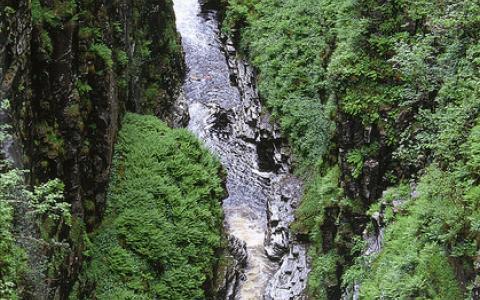 Corrieshalloch Gorge NNR - looking into the gorge