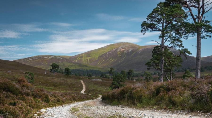 Mar Lodge Estate - National Trust for Scotland