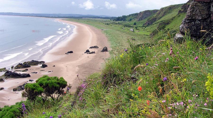 St Cyrus NNR - view from the cliffs along the beach towards the North Esk. copyright NatureScot