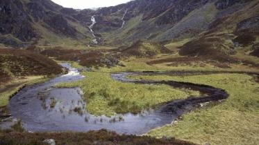 Ciore Fee NNR, Glen Doll, Angus. copyright:Lorne Gill/NatureScot