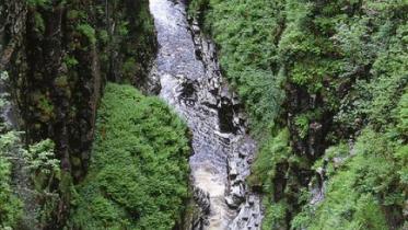 Corrieshalloch Gorge NNR - looking into the gorge
