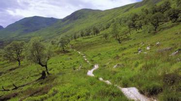 The path in Coire Ardair, Creag Meagaidh NNR, East Highland Area.  ©Lorne Gill/NatureScot