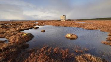 Dubh lochans on the blanket bog at Forsinard Flows National Nature Reserve.  :copyright:Lorne Gill/NatureScot