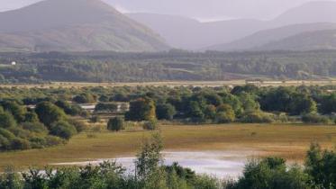 Insh Marshes NNR, near aviemore.   ©Lorne Gill