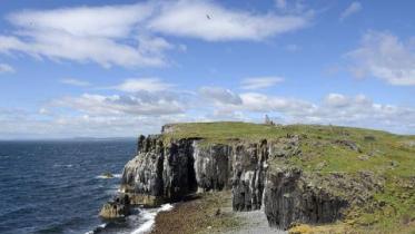Open day on the Isle of May National Nature Reserve, July 2016. ©Lorne Gill/NatureScot
