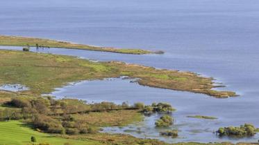 Endrick marshes, Loch Lomond NNR, Argyll and Stirling Area.   ©Lorne Gill/NatureScot