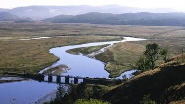 Moine Mhor NNR, Argyll-shire. ©Lorne Gill/NatureScot