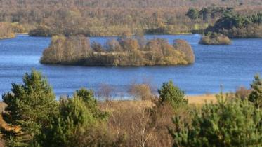 View over Loch Kinord from a viewpoint at Muir of Dinnet NNR, Grampian Area. The small island is the site of a former Crannog   ©Lorne Gill/NatureScot