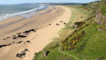 St Cyrus NNR. Grampian Area. ©Lorne Gill/NatureScot