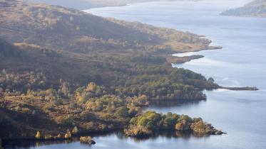 Loch Katrine from Ben A'an in the Great Trossachs Forest National Nature Reserve.  ©Lorne Gill/NatureScot