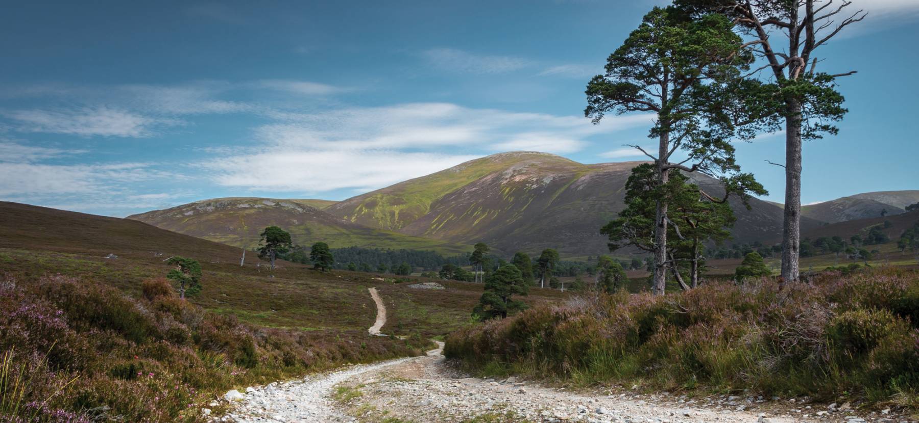 Mar Lodge Estate - National Trust for Scotland