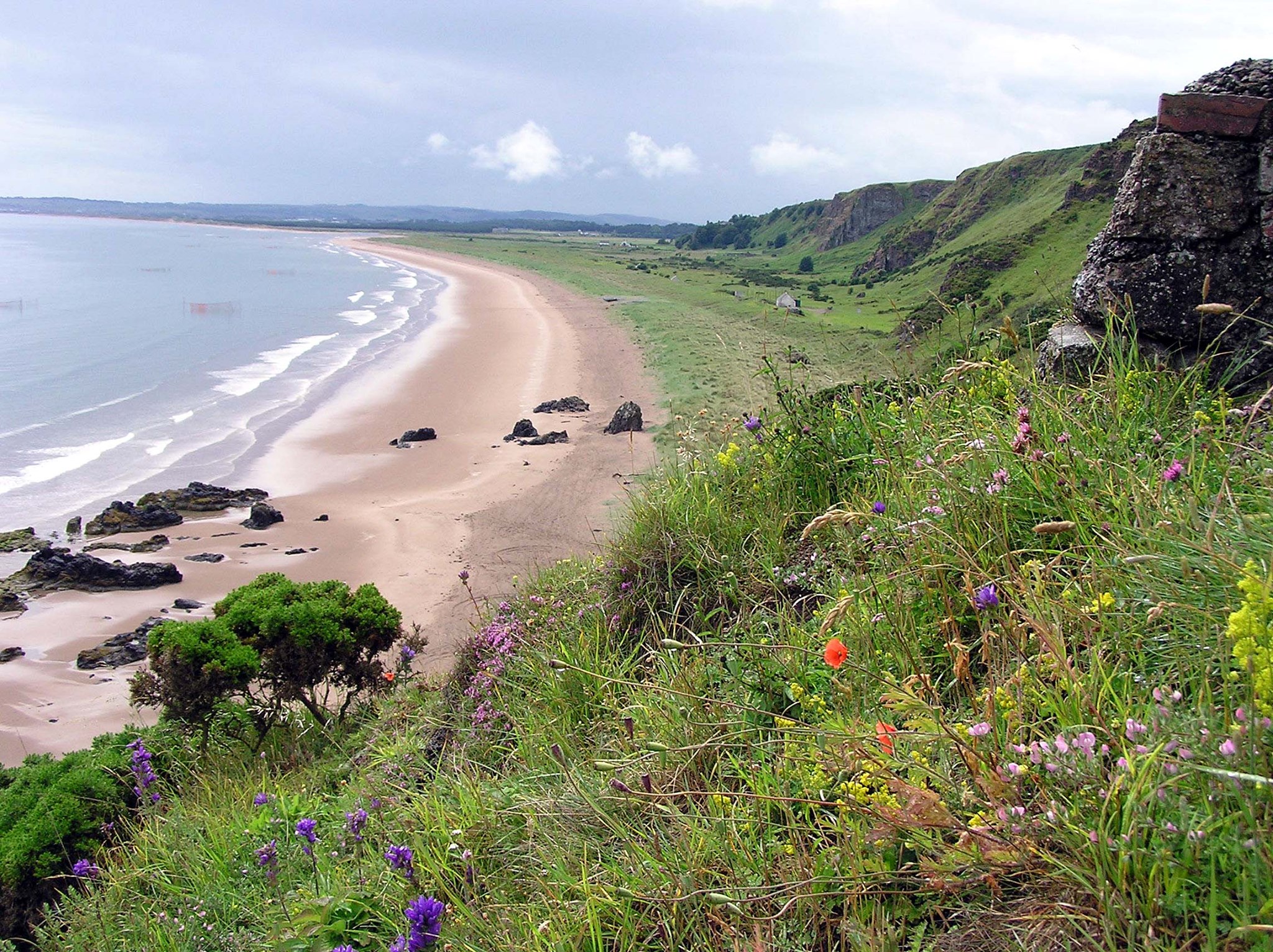St Cyrus NNR - view from the cliffs along the beach towards the North Esk. copyright NatureScot