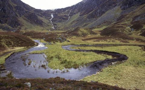 Ciore Fee NNR, Glen Doll, Angus. copyright:Lorne Gill/NatureScot