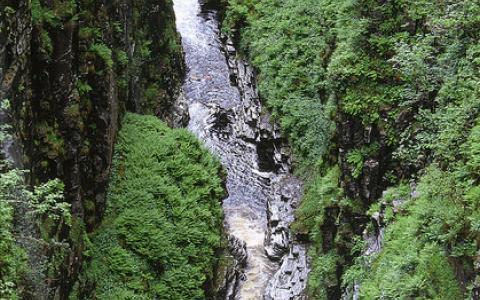 Corrieshalloch Gorge NNR - looking into the gorge