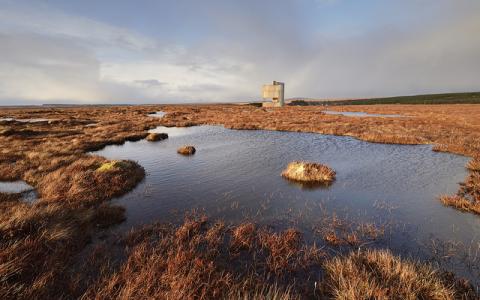 Dubh lochans on the blanket bog at Forsinard Flows National Nature Reserve.  :copyright:Lorne Gill/NatureScot