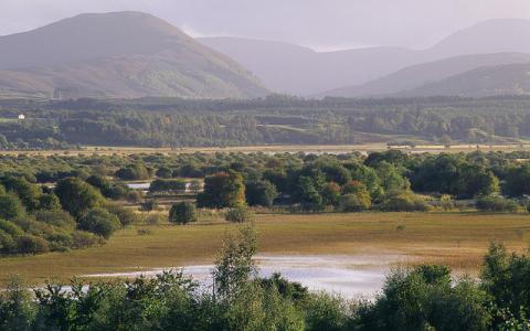 Insh Marshes NNR, near aviemore.   ©Lorne Gill