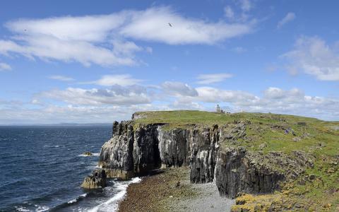 Open day on the Isle of May National Nature Reserve, July 2016.  ©Lorne Gill/NatureScot