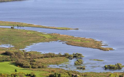 Endrick marshes, Loch Lomond NNR, Argyll and Stirling Area.  ©Lorne Gill/NatureScot