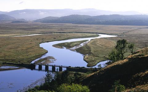 Moine Mhor NNR, Argyll-shire. ©Lorne Gill/NatureScot