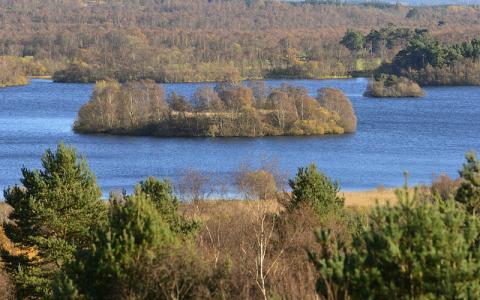 View over Loch Kinord from a viewpoint at Muir of Dinnet NNR, Grampian Area. The small island is the site of a former Crannog  ©Lorne Gill/NatureScot