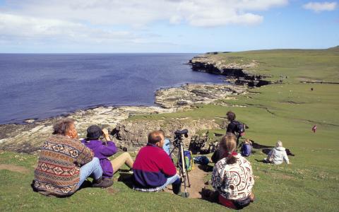 Visitors on the cliffs, Noss NNR, Shetland. ©Lorne Gill/NatureScot